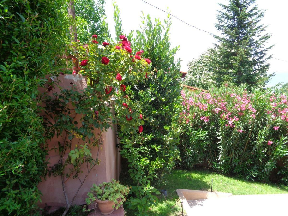 Apartment Golf Dojran Esterno foto